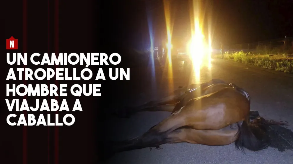 Un camionero atropelló a un hombre que viajaba a caballo