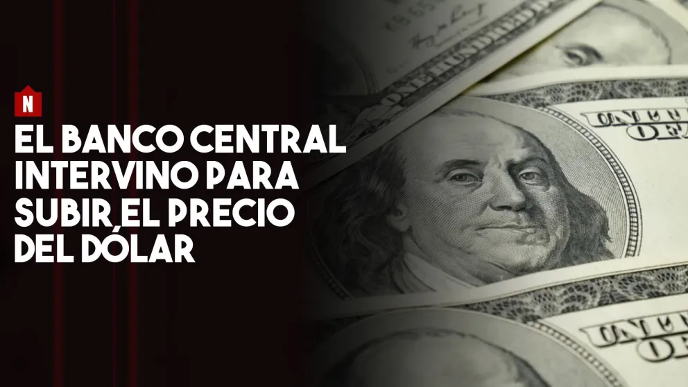 El Banco Central intervino para subir el precio del dólar