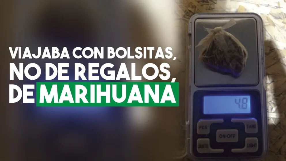 A lo mulita, transportaba bolsitas de marihuana y cocaína
