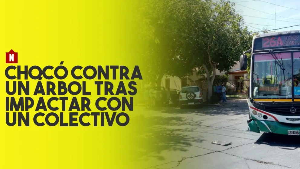 Chocó contra un árbol tras impactar con un colectivo