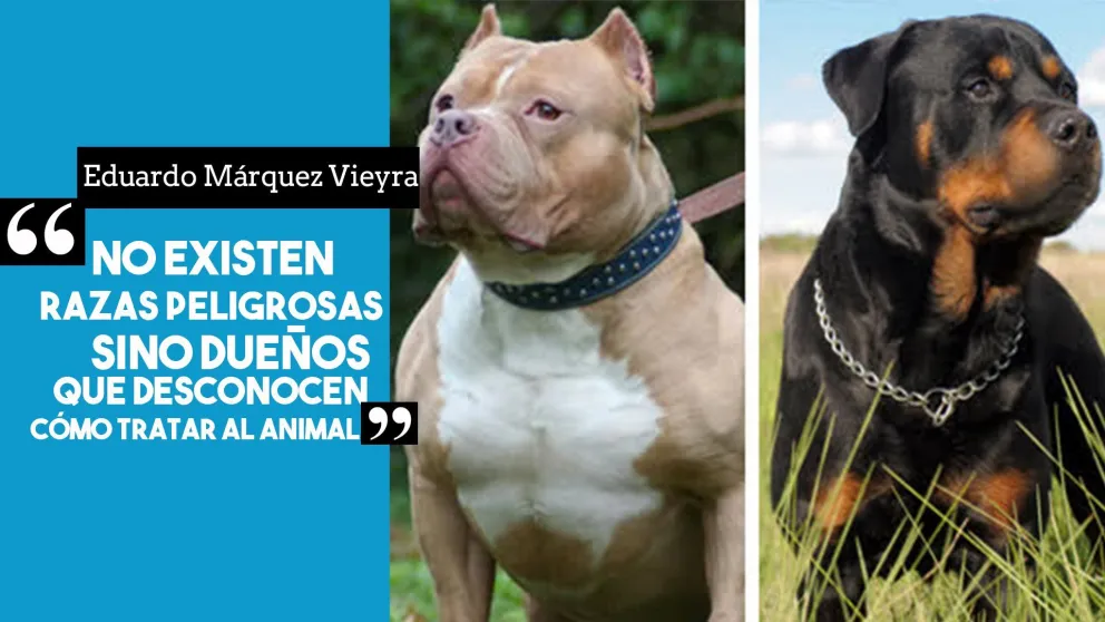 Eduardo Márquez Vieyra: "Al comprar un raza el propietario debe informarse sobre el comportamiento animal"