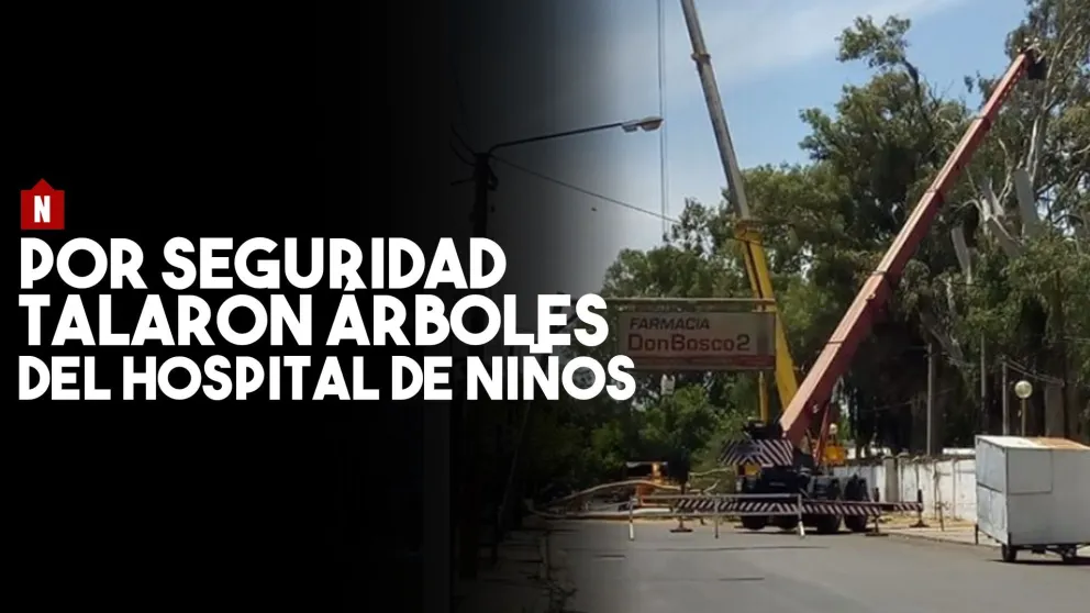 Capitalinos indignados por la tala de árboles en el Hospital de niños