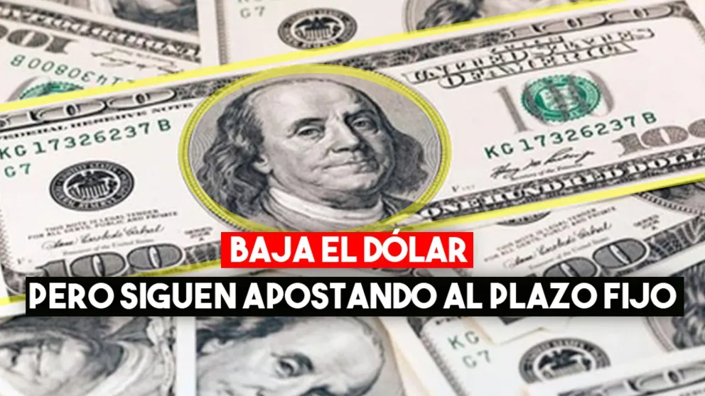 Dólar: en pique aunque algunos apuestan al plazo fijo