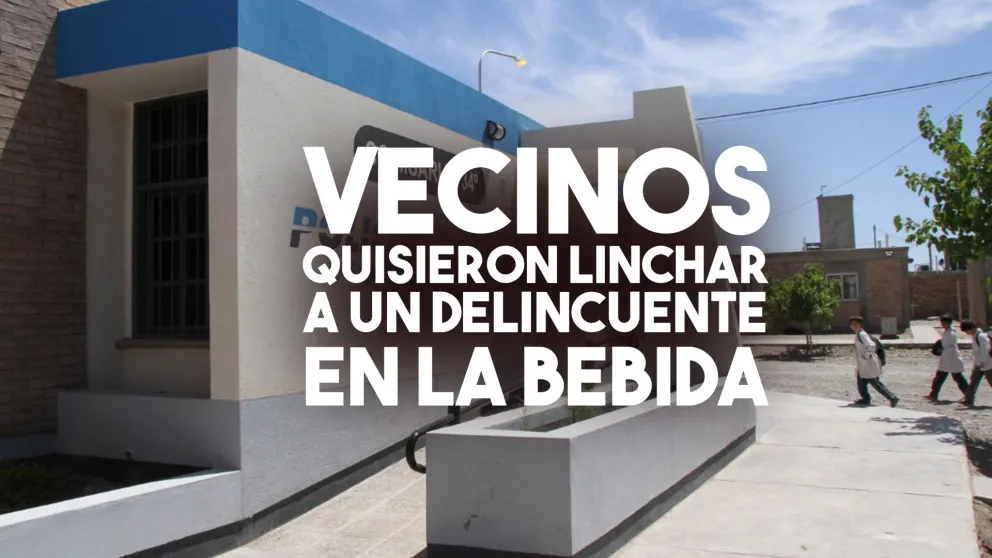 Una mujer fue atacada por un delincuente y los vecinos quisieron lincharlo