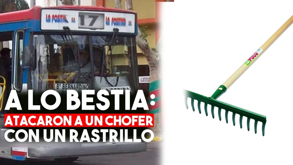 Toda una familia agredió a un chofer