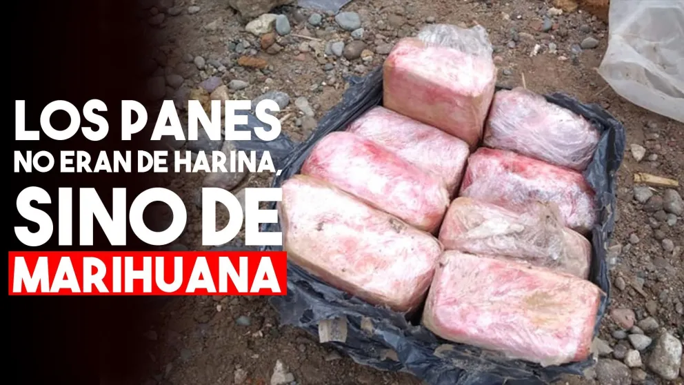 Rawson: encontraron ocho panes de marihuana