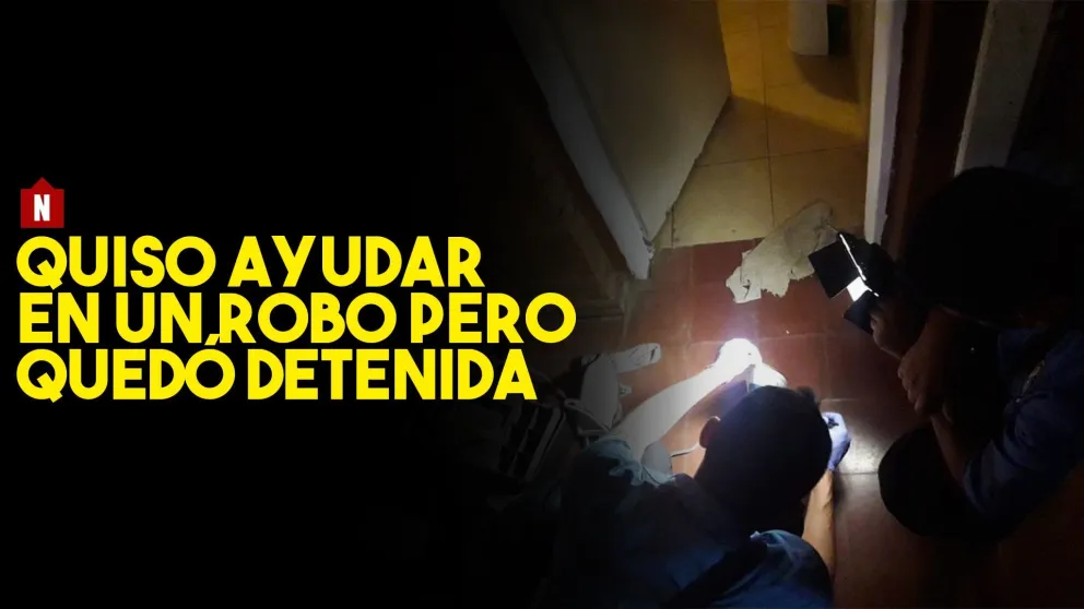 Quiso ayudar en el robo y fue la que terminó detenida