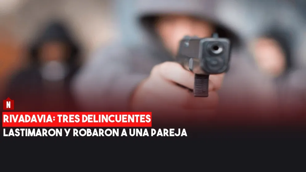 Rivadavia: los ataron y lastimaron con un destornillador para robarles