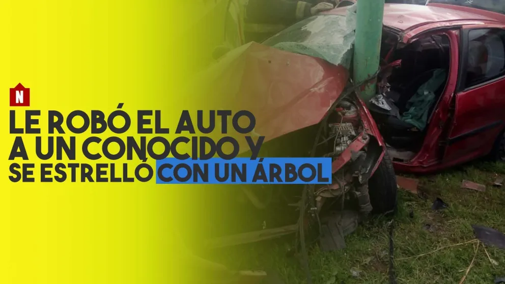 Robó un auto y se estrelló contra un árbol