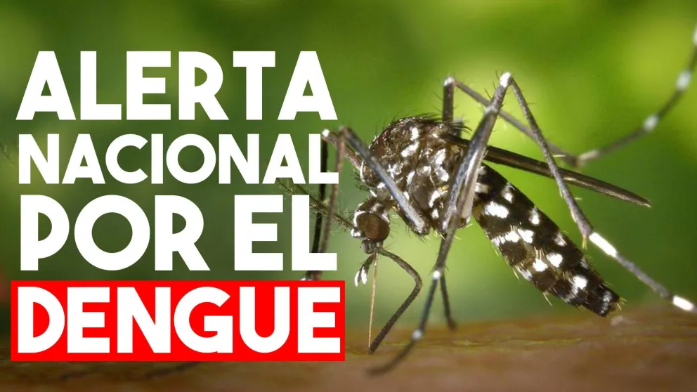 Alerta nacional por reiterados casos de dengue