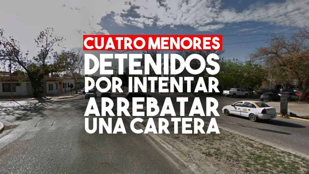 Cuatro menores detenidos por intentar robar una cartera