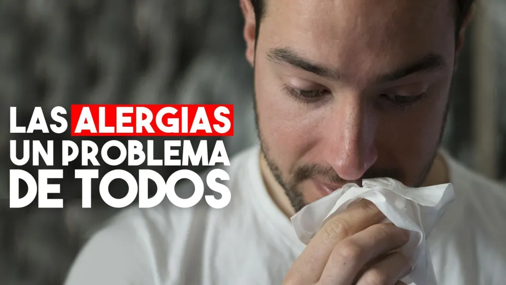 Alergias, un mal de muchos