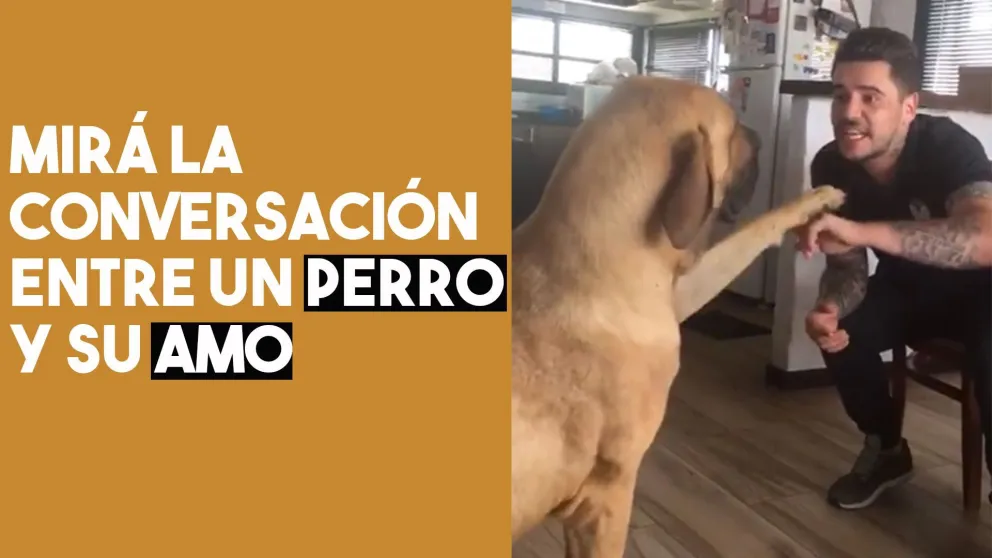Desopilante conversación entre un hombre y su perro