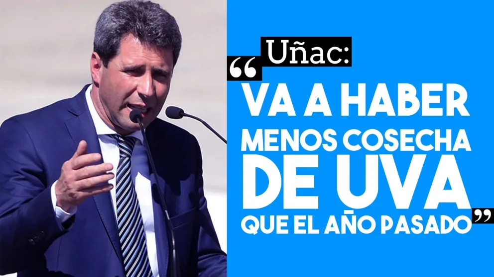 Uñac: "Va a haber menos cosecha de uva que el año pasado"