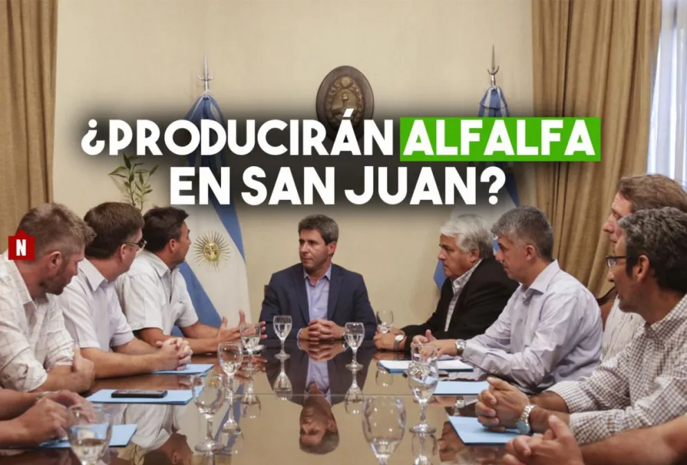 Cooperativa busca producir alfalfa y abastecer al sector ganadero local
