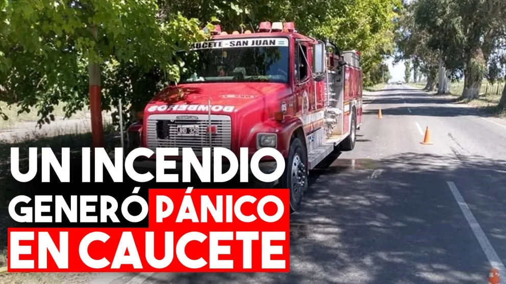 Un incendio casi alcanza una casa y generó pánico en los vecinos