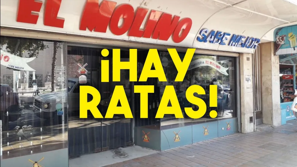 Clausuraron la confitería El Molino por presencia de roedores