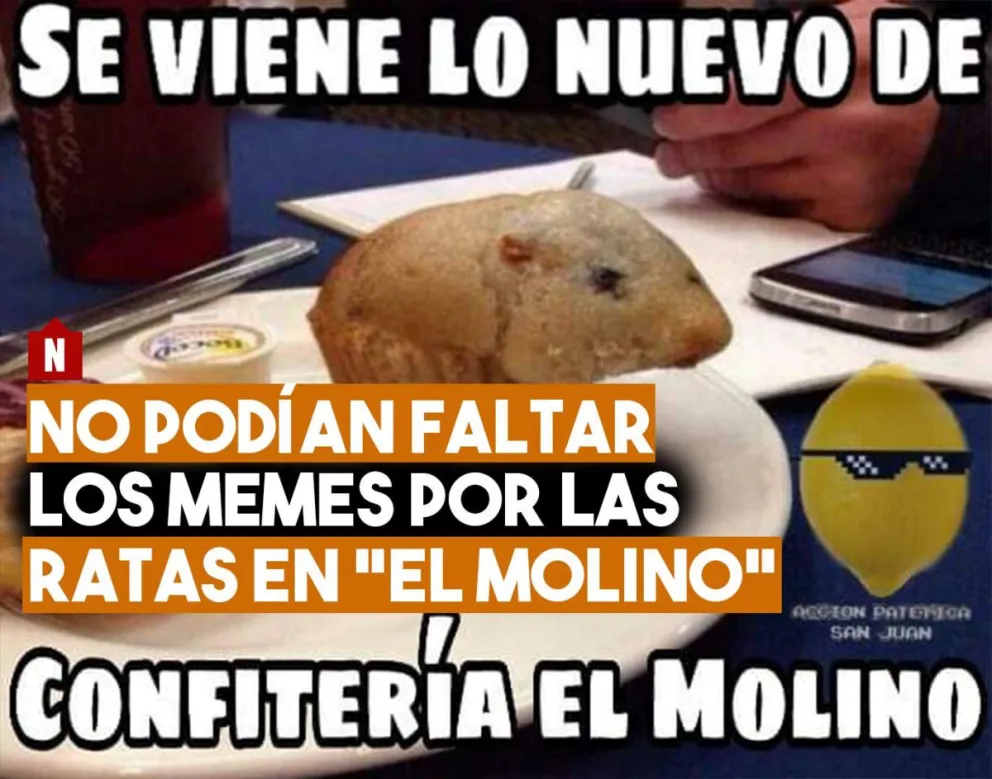 Un clásico: los memes por las ratas en "El Molino"