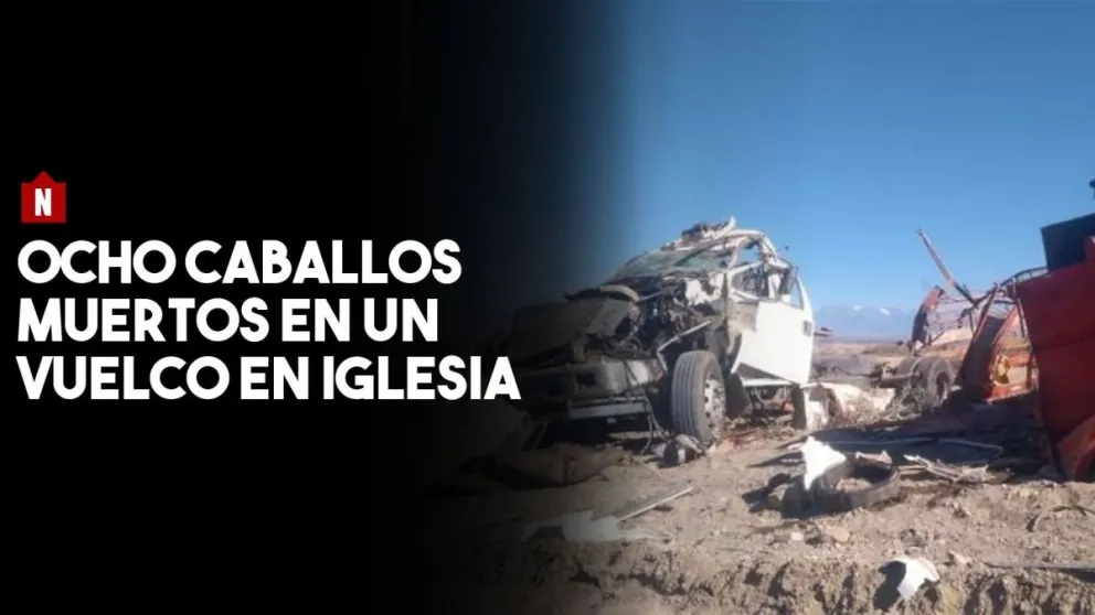 Murieron ocho caballos en un vuelco