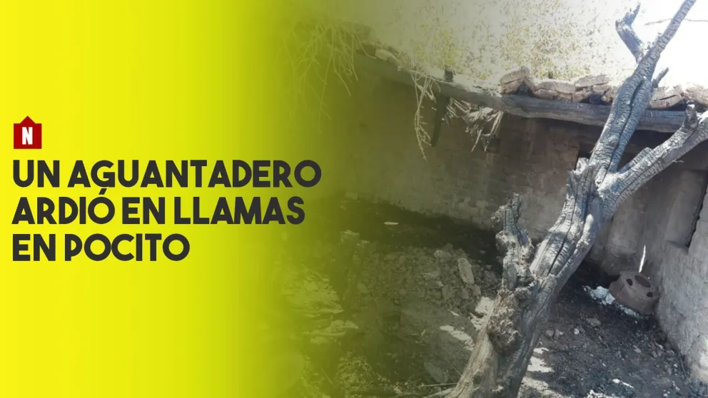 Pocito: un aguantadero ardió en llamas