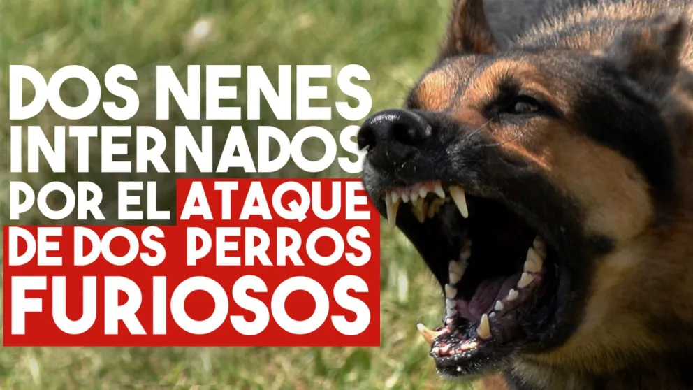 Cinco personas heridas tras el ataque de dos perros