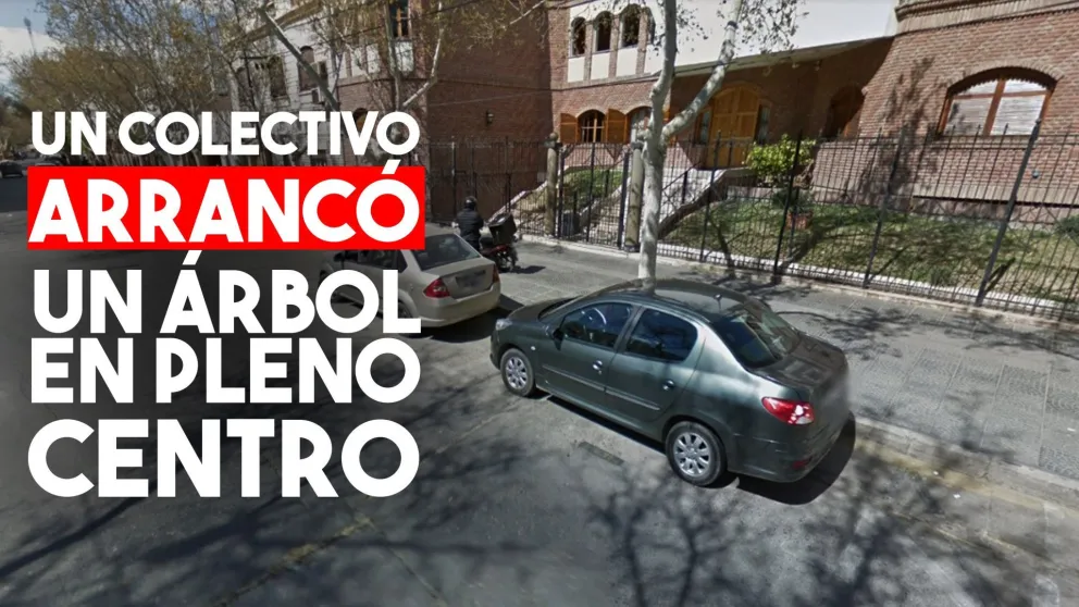Un colectivo arrancó un árbol en pleno centro