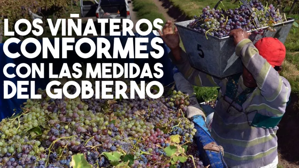 Productores vitivinícolas conformes con las medidas del gobierno para el sector