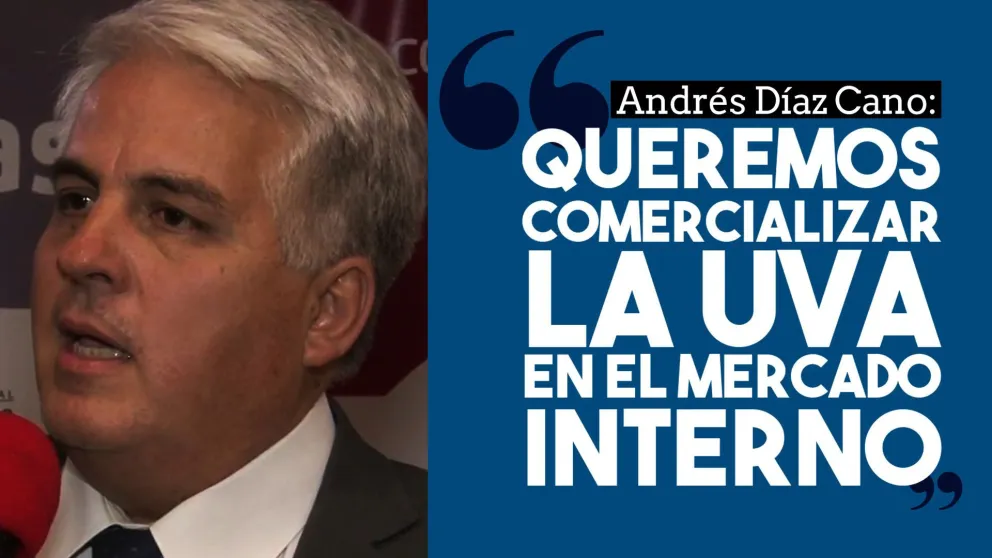 Andrés Díaz Cano: "Queremos comercializar la uva en el mercado interno"