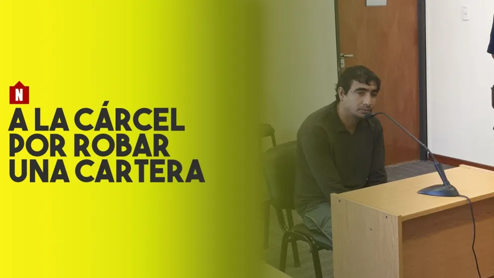 Arrebató una cartera, un vecino lo detuvo y ahora irá a prisión