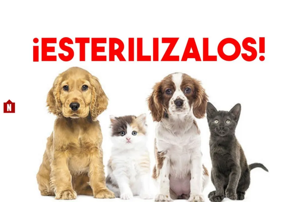 Los quirófanos móviles continúan su visita por diferentes barrios