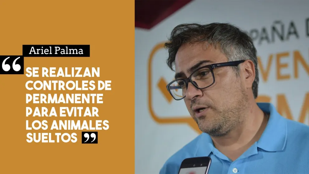 ¿Qué pasa con los animales sueltos en la ruta?