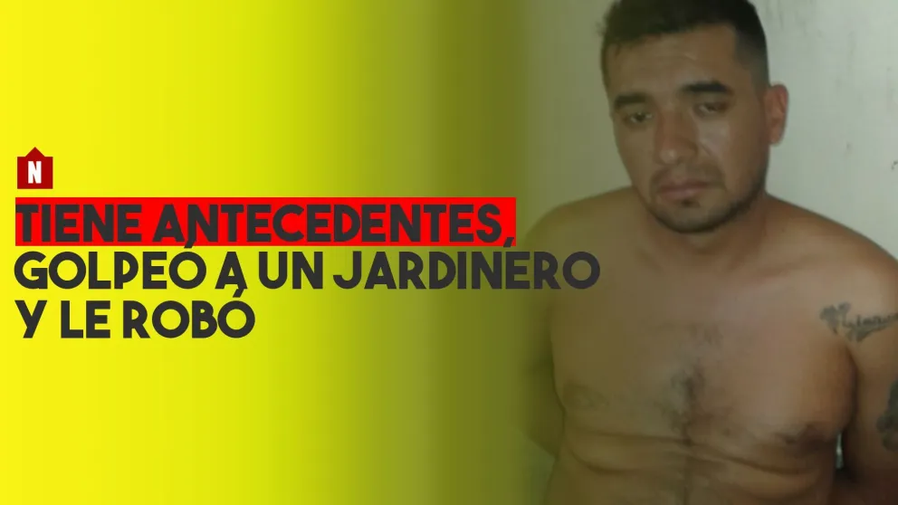 Golpeó a un jardinero para robarle una máquina