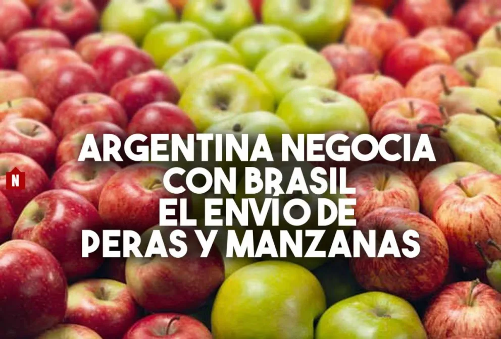 El Gobierno negocia con Brasil la exportación de peras y manzanas