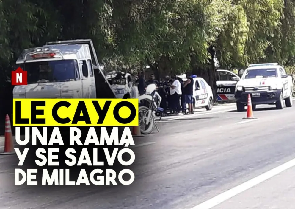 Se le cayó una rama encima de la camioneta y se salvó de milagro