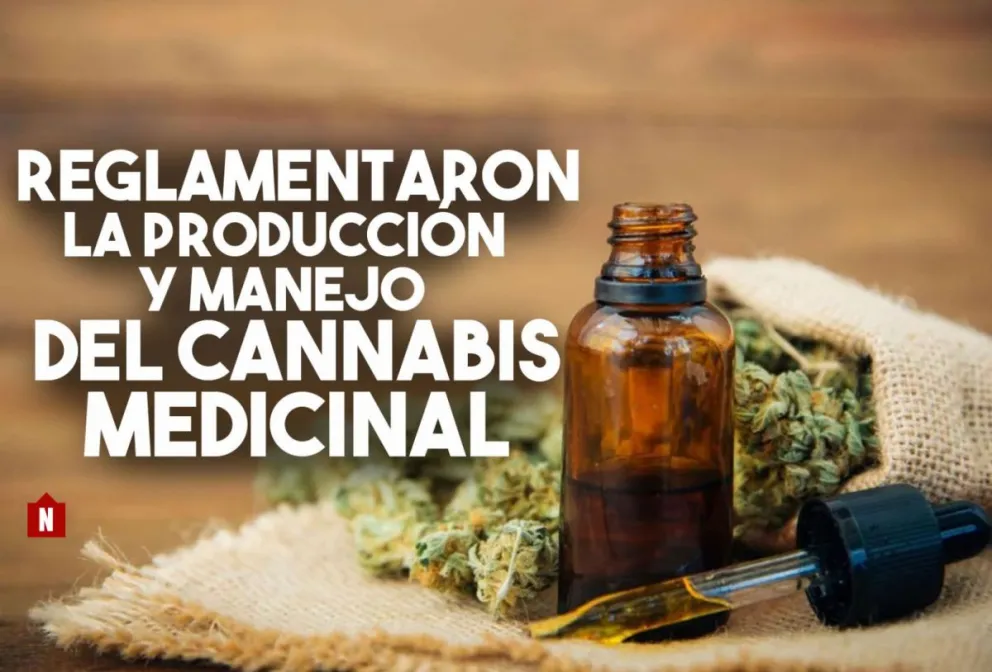 Fijaron las condiciones para la producción de Cannabis