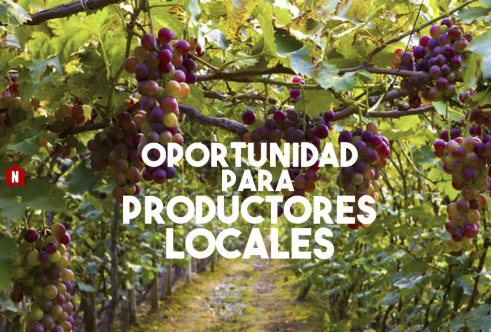 Desde el Gobierno convocan a productores para el programa de compra de uva