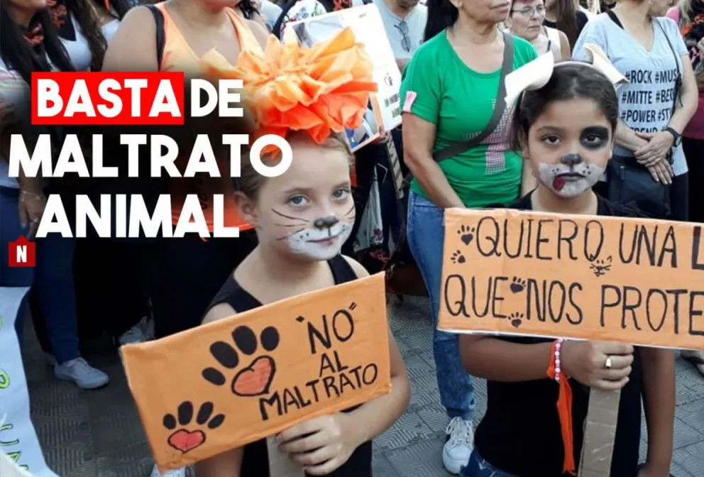 Marcharon para pedir una ley de protección animal