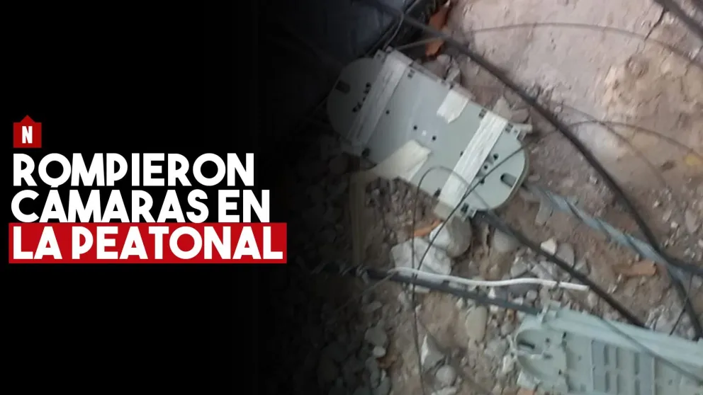 Otra vez la peatonal: rompieron las cámaras de seguridad