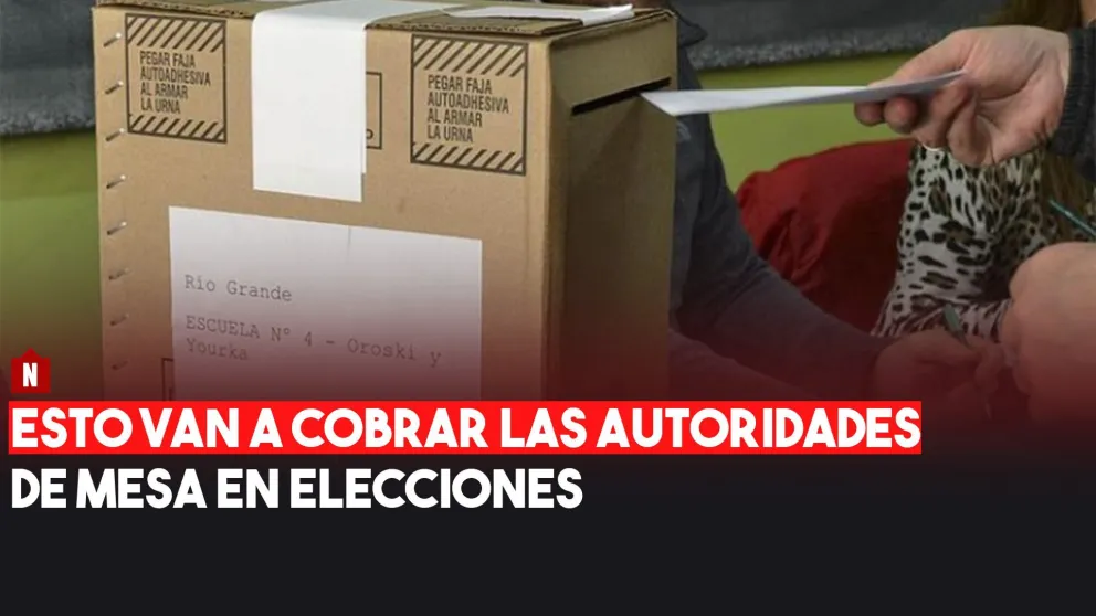 Esto van a cobrar las autoridades de mesa en las elecciones