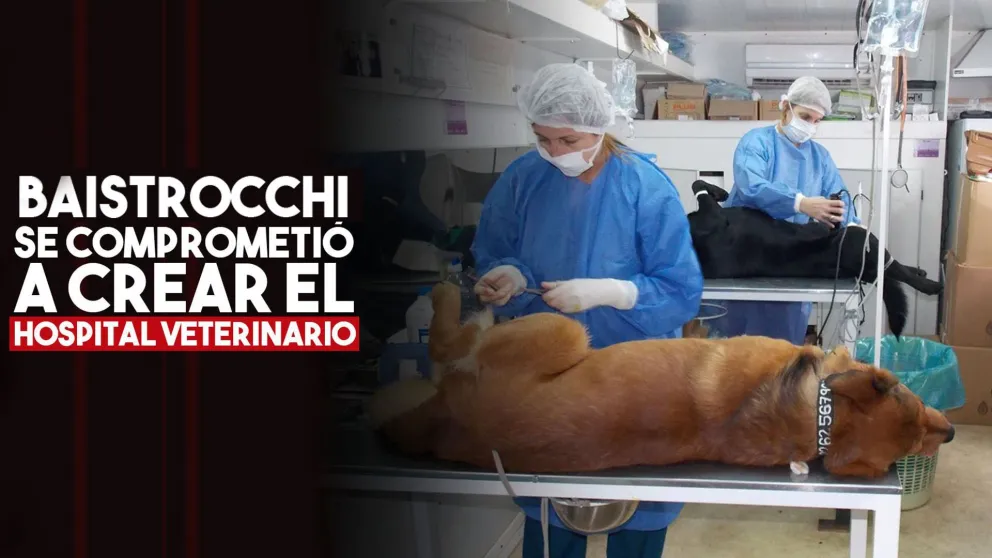 Baistrocchi firmó un acta compromiso para crear el hospital veterinario