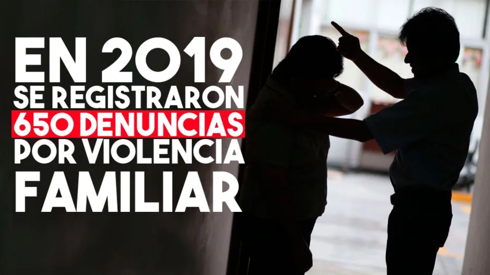 EN 2019 se registraron 650 denuncias por violencia familiar