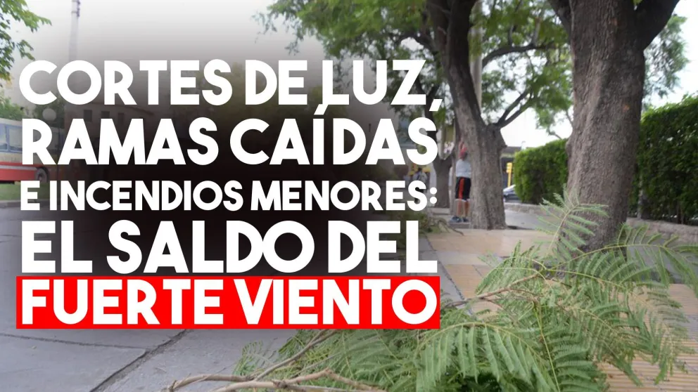 Cortes de luz, ramas caídas e incendios menores, el saldo del fuerte viento