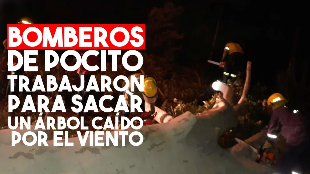 Bomberos de Pocito trabajaron para sacar un árbol caído