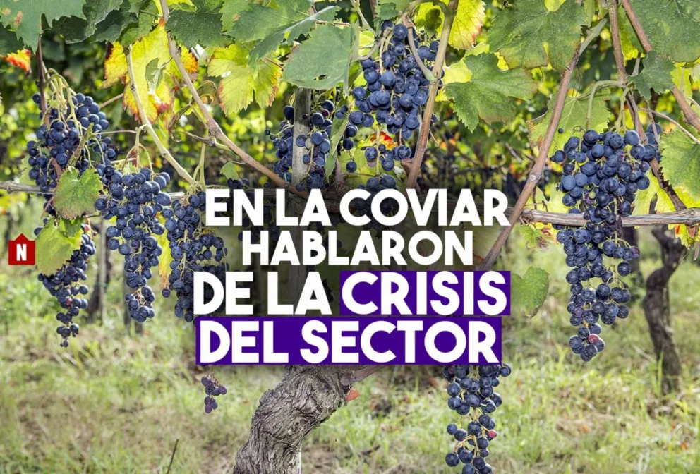 Para el Presidente de la Coviar la carga impositiva es inaguantable