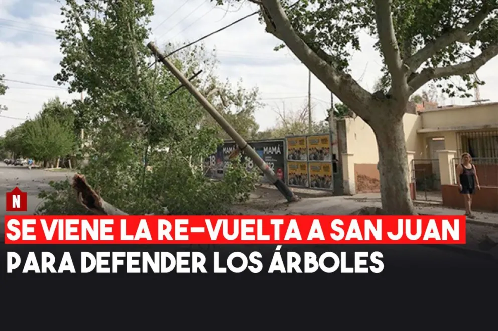 Se viene la Re-vuelta a San Juan por los árboles
