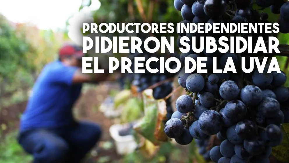 Productores independientes pidieron subsidiar el precio de la uva
