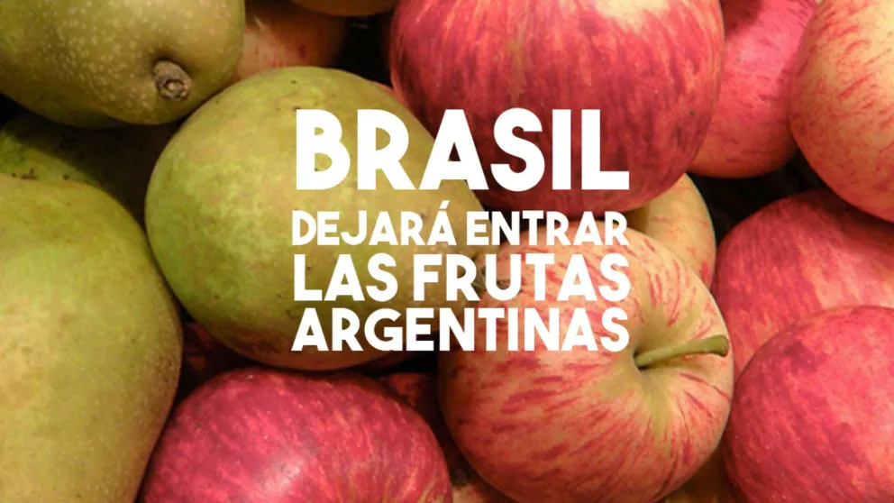 Las peras y manzanas argentinas vuelven a ingresar a Brasil