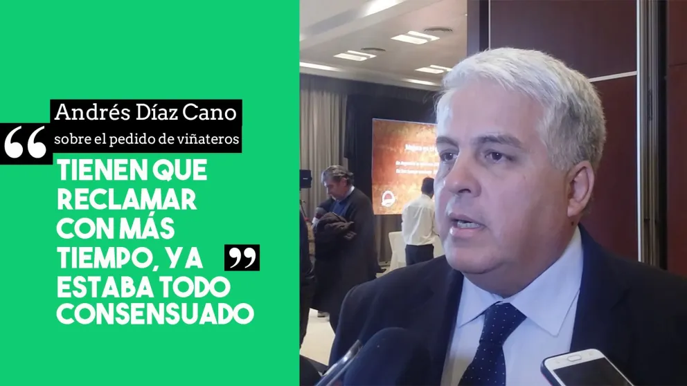 Díaz Cano sobre los viñateros independientes: "Tienen que reclamar con más tiempo"