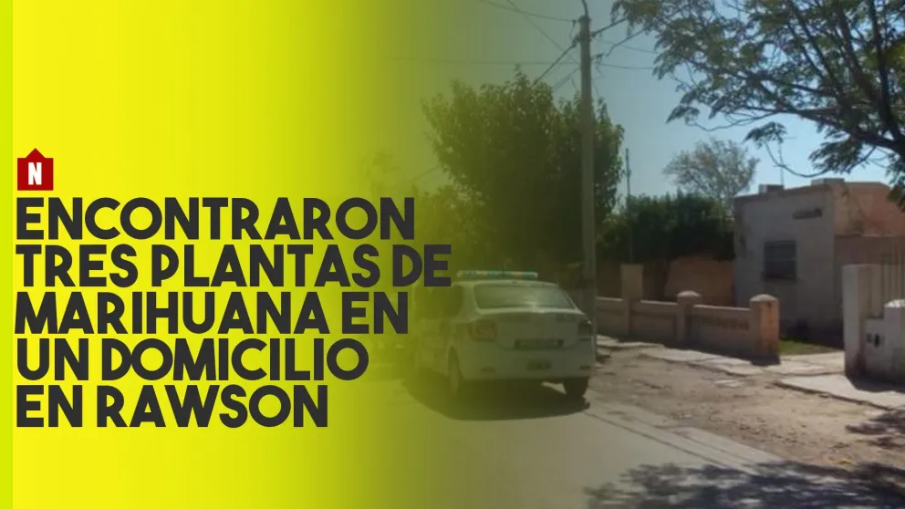 En un allanamiento en una casa en Rawson encontraron tres plantas de marihuana