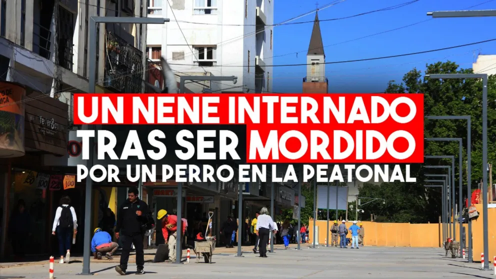 Un nene puntano internado tras ser mordido por un perro en la Peatonal
